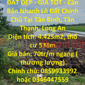 ĐẤT ĐẸP - GIÁ TỐT - Cần Bán Nhanh Lô Đất Chính Chủ Tại Tân Thạnh, Long An _0