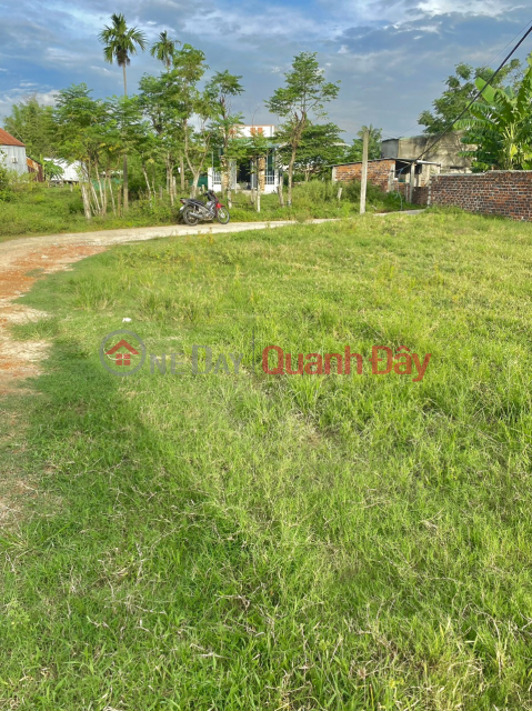 The land in the center of Dai Hiep commune is 500m from area 609 _0
