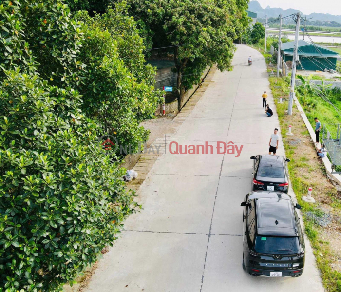 Property Search Vietnam | OneDay | Residential Sales Listings | Selling corner lot with 2 frontages 12m wide Provincial Road 419, My Duc