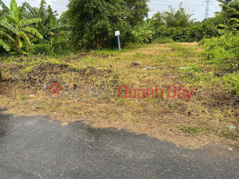 BEAUTIFUL LAND - GOOD PRICE - FULL RESIDENTIAL Land Lot For Sale In Thanh Duc - Ben Luc - Long An _0