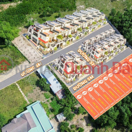 Loc Khuong land - Near Nam Ky Khoi Nghia street - Great price only 8xxtr/land _0