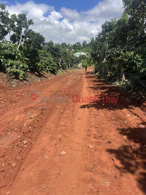 Nhanh tay khách đâu tư một lô siu rẻ ngợp -banhk tại trung tâm Liên Hà, xã Tân Hà siu rẻ _0