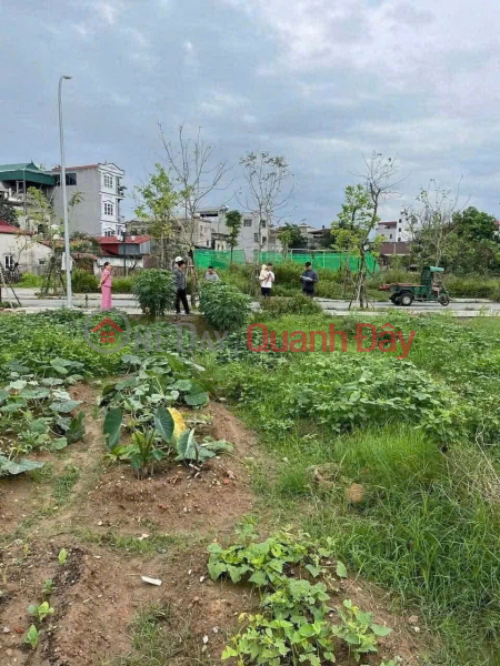Cheapest in Thu Lam resettlement area, Dong Anh - Prime location - Family needs capital so selling urgently. Sales Listings