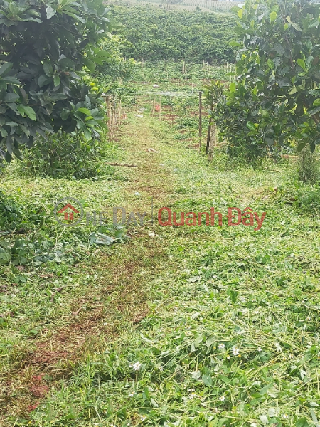 đ 12.5 Billion BEAUTIFUL LAND - GOOD PRICE - For Sale Land Lot Location Me Linh Commune, Lam Ha District, Lam Dong