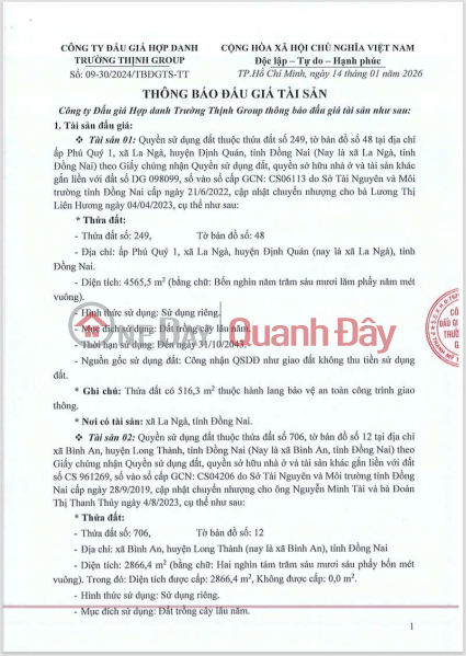 BIDV Bank is holding a public auction of a plot of land in Binh An Commune, Long Thanh District, Dong Nai Province. Sales Listings