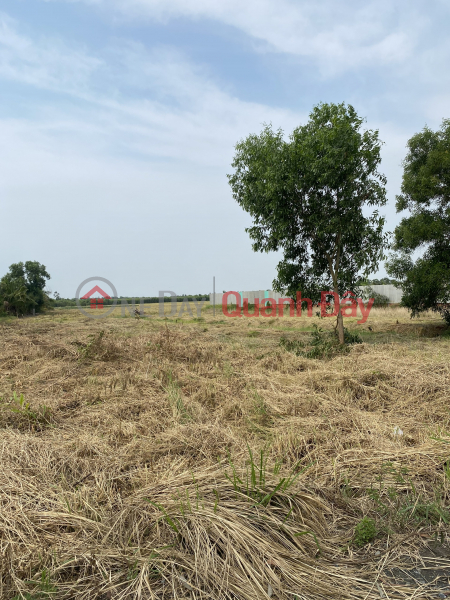 Land for sale on Canal 10 road, only 300m from Ring Road 3. Sales Listings