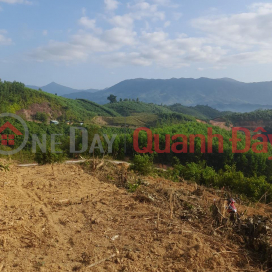 BEAUTIFUL LAND - GOOD PRICE - Land Lot For Sale Prime Location In Son Thai Commune, Khanh Vinh District, Khanh Hoa _0