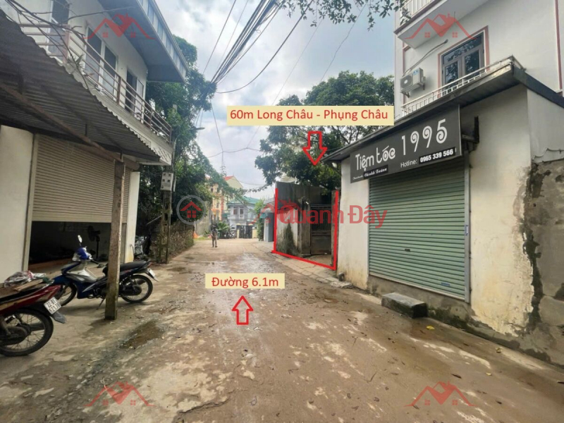 OWNER NEEDS TO SELL 60M LAND LOT ON BUSINESS ARRAY IN PHUNG CHAU-CHUONG MY-HANOI Sales Listings