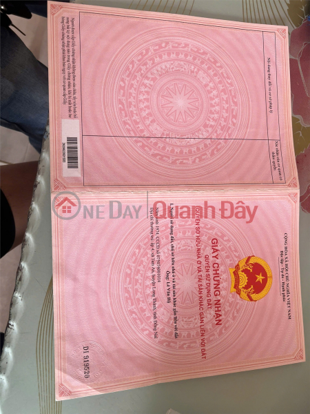 OWNER'S LAND - GOOD PRICE - Urgent Sale of Land Lot in Tam An Commune, Long Thanh District, Dong Nai Sales Listings