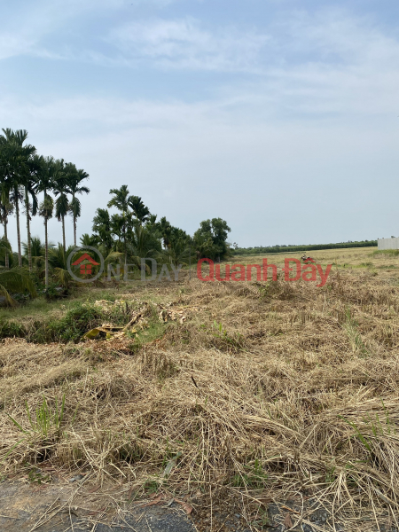 Land for sale on Canal 10 road, only 300m from Ring Road 3., Vietnam Sales, đ 10.5 Billion