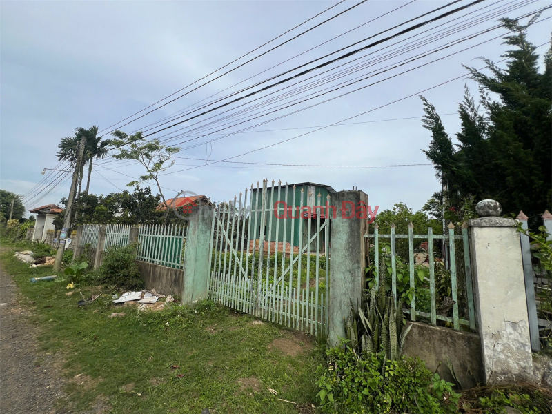 OWNER'S LAND - NEED TO SELL LOT OF LAND BEHIND Hoa Ninh Market, Di Linh, Lam Dong - SUPER PREFERENTIAL PRICE | Vietnam Sales, đ 4.8 Billion