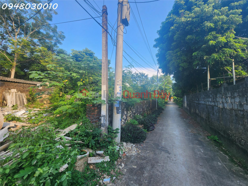 Property Search Vietnam | OneDay | Residential, Sales Listings, Land for sale in Phong Son town, Cam Thuy district, Thanh Hoa province