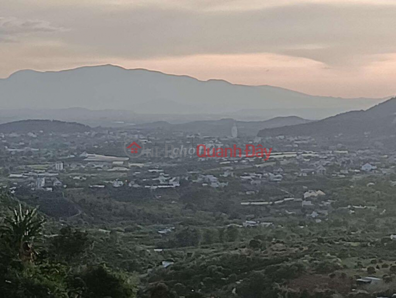OWNER NEED TO SELL LOT OF LAND in the coastal area of Da Lat, High and Cool View Sales Listings