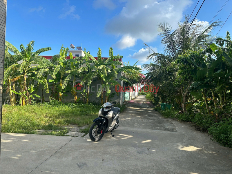 Property Search Vietnam | OneDay | Nhà ở, Niêm yết bán, 1.1x tỷ 47m2 Hưng Đạo Dương Kinh Zalo 0567222555