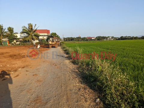 OWN A UNIQUE BEAUTIFUL LOT OF LAND - SUPER INVESTMENT PRICE In Xuan Phu Commune, Xuan Loc District, Dong Nai Province _0