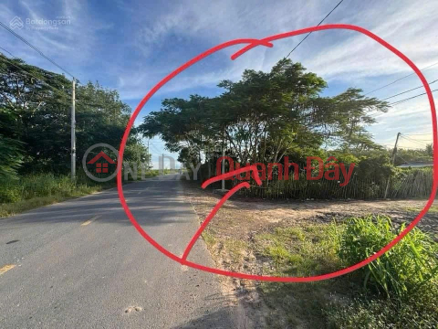 Land for sale by owner on Road 785C, Tan Ha Commune, Tan Chau District, Tay Ninh Province. _0