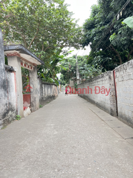 selling 39.2m of land in Phuong Dong, Phung Chau, Chuong My, Hanoi Vietnam | Sales | ₫ 1.15 Billion