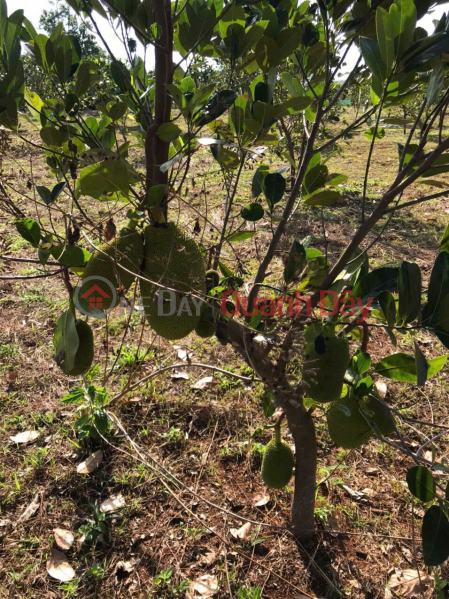  | Please Select Residential | Sales Listings | đ 14 Billion