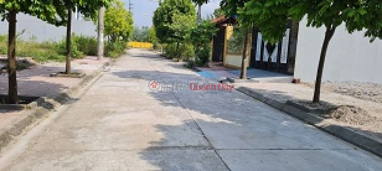 Property Search Vietnam | OneDay | Residential Sales Listings, The owner needs money to sell the land plot in Tam Hop Commune, Binh Xuyen District, Vinh Phuc.