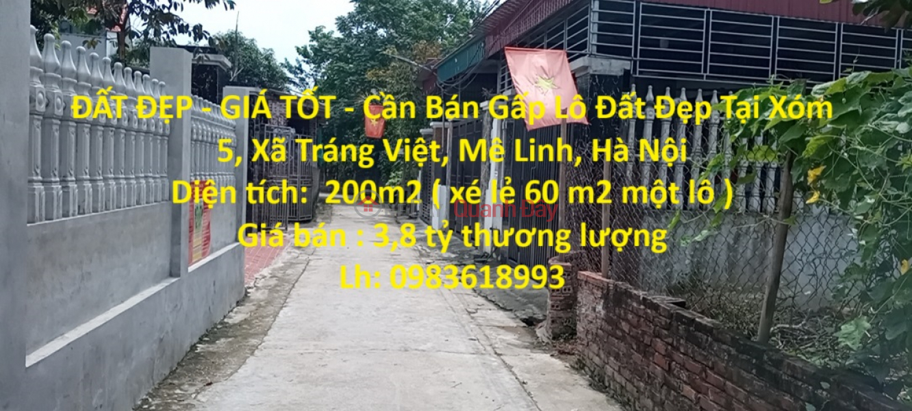 BEAUTIFUL LAND - GOOD PRICE - Urgent Sale Beautiful Land Lot In Hamlet 5, Trang Viet Commune, Me Linh, Hanoi Sales Listings