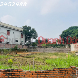 The owner needs to sell 195m2 of land in Vat Lai commune, Ba Vi, investment price _0