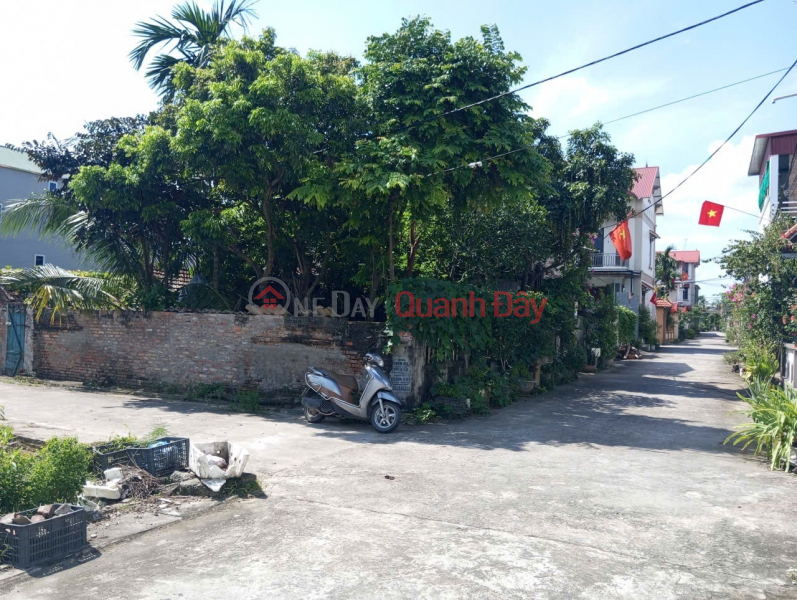 Bán đất Thuận Thành, Bắc Ninh. 85m2 * mt 5,9m * 2,48 tỷ. Lô góc, ô tô tránh Việt Nam Bán, đ 2,48 tỷ