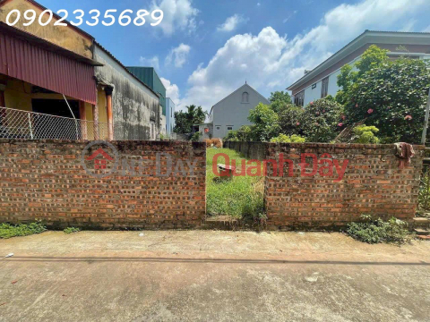 GOLDEN OPPORTUNITY TO OWN LAND IN THE CENTER OF VAN GIANG _0