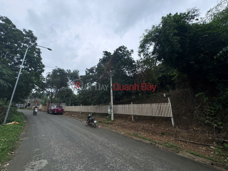 Urgent sale of a 3,100m² plot of land facing National Highway 6 - a prime location in Luong Son, Hoa Binh., Vietnam | Sales | đ 12.2 Billion