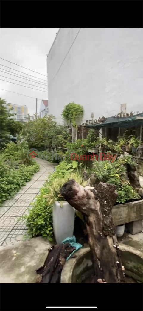 OWNER NEEDS long-term lease of FULL RESIDENTIAL land plot in Di An city, Binh Duong province _0