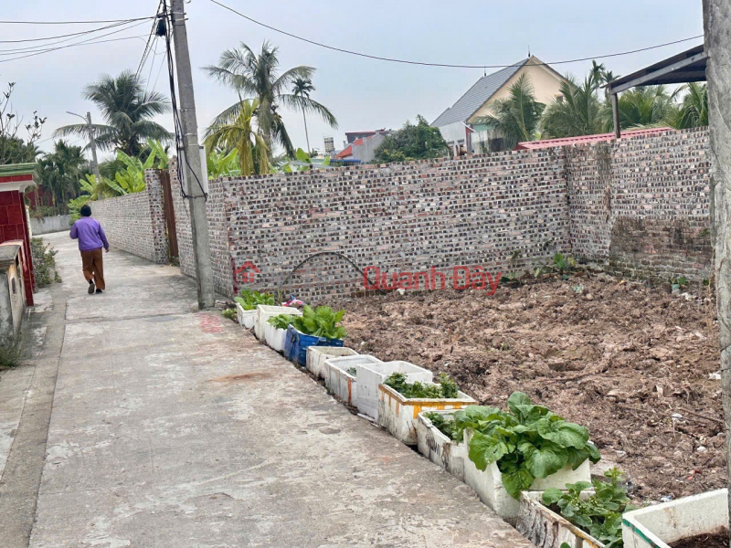 Bán đất Dân Tiến Nam Đồ Sơn giá hiếm hơn 6xx triệu ngõ ô tô ZALO 0567 222 555 Niêm yết bán