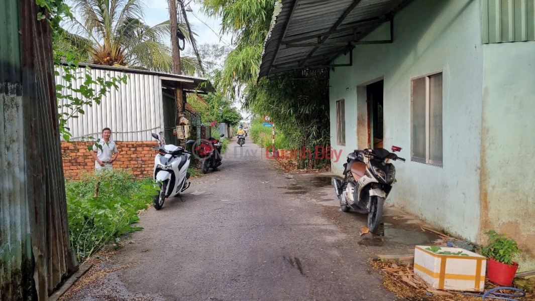 BEAUTIFUL LAND - CHEAP PRICE - QUICK SALE OF 2 LOT OF LAND IN BINH THUY DISTRICT, CAN THO CITY Sales Listings