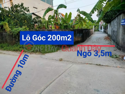 FAMILY NEEDS MONEY URGENTLY SELL DOUBLE FRONT PIECE OF LAND IN HOANG DIEU. Area: 200m2 Location: Hoang Dieu - _0
