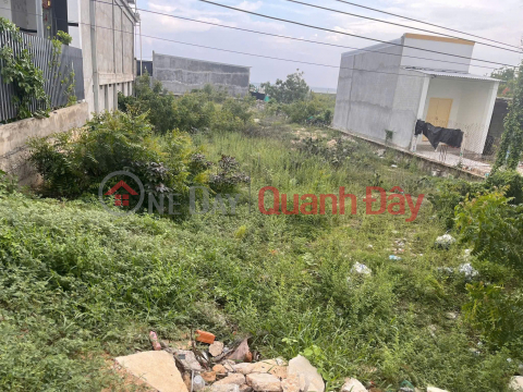 ĐẤT ĐẸP - GIÁ TỐT CHÍNH CHỦ BÁN NHANH LÔ ĐẤT 600m² – PHÚ THỌ, ĐÔNG HẢI (cũ) _0