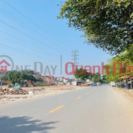 Land for sale at auction X2 Sap Mai, Vong La, Dong Anh, best location. _0