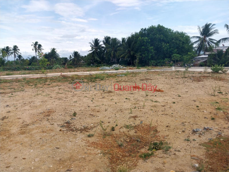 Property Search Vietnam | OneDay | Nhà ở Niêm yết bán, Bán nhanh lô đất tại TP Phan Rang gần nhà thờ Tân Hội cuối đường Thống Nhất giá chỉ 11tr/m2