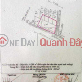 OWNER FOR RENT Land Lot 4000m2 (frontage more than 80m),Nghia Dong Commune, Quang Ngai City, Quang Ngai _0