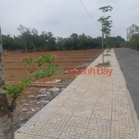 140m2 residential land near Long Thanh Dong Nai airport only 350 million _0