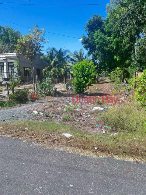 BEAUTIFUL LAND AT AMAZING PRICE - For Quick Sale Lot of Land with Good Location in Thanh Tay Commune, Tan Bien, Tay Ninh _0