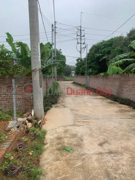BEAUTIFUL LAND - GOOD PRICE - Need to Sell Quickly Land Lot on Provincial Road 411C, Phu Son Commune, Ba Vi District, Hanoi Sales Listings