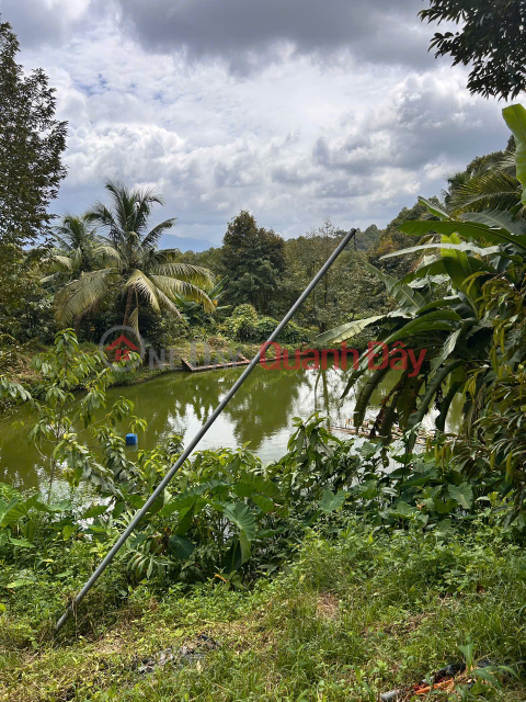 PRIME LAND FOR SALE - OWNER NEEDS TO SELL A PLOT OF LAND IN A STREET LOCATION IN HA LAM COMMUNE, DA HOAI DISTRICT, LAM DONG PROVINCE _0