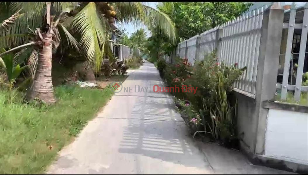 Property Search Vietnam | OneDay | Residential, Sales Listings | ORIGINAL LAND - Own the Land Lot In Go Cong Tay District, Tien Giang Province