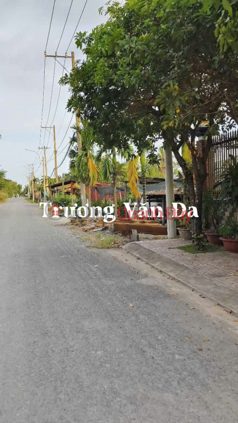 (6) Selling frontage land, 1,540m2; 2,812m2; 3,303m2; 5,138m2; 10,700m2 at low price; with residential land, Binh Chanh _0