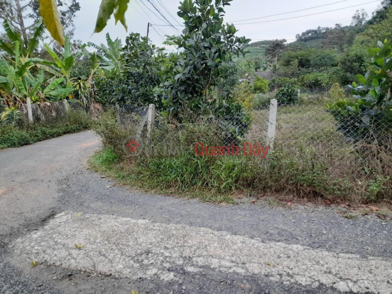 BEAUTIFUL LAND - GOOD PRICE - Land Lot For Sale Prime Location In Bao Lam District, Lam Dong | Vietnam, Sales | đ 1.7 Billion