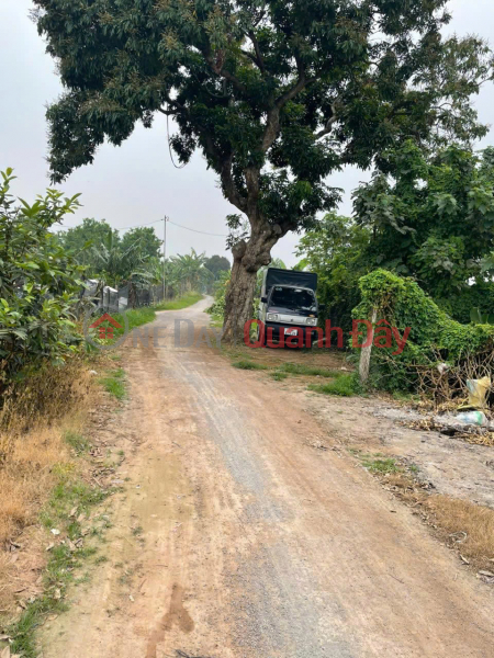 Agricultural land for sale - Land on main road of group 14 Yen Nghia, Ha Dong Sales Listings