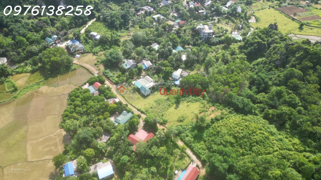 Property Search Vietnam | OneDay | Residential Sales Listings | Land for sale, 2700m2, in Lien Son commune, price negotiable, 70m frontage.