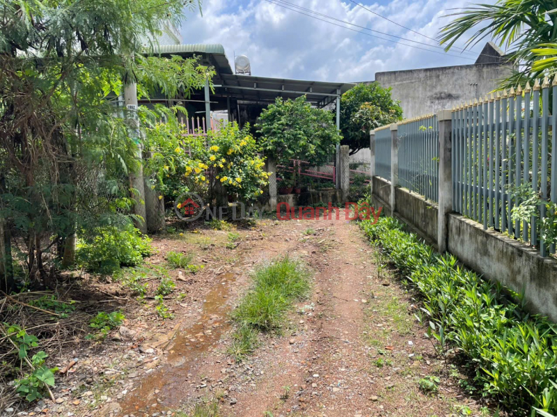 PRIME LOCATION - GREAT PRICE - Owner urgently selling house in Xuan Truong Commune, Xuan Loc District, Dong Nai Province | Vietnam Sales | đ 1.5 Billion