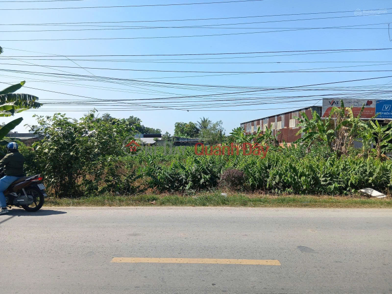 Property Search Vietnam | OneDay | Nhà ở Niêm yết bán, Bán Đất tại Quốc lộ 54, xã Lai Vung (xãTân Thành, Huyện Lai Vung) giá tốt chỉ với 4,1 tỷ