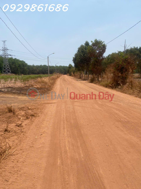 Selling at a loss: A prime plot of land with frontage on the Becamex Chơn Thành ring road. _0