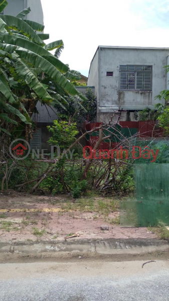 Property Search Vietnam | OneDay | Residential Sales Listings, BEAUTIFUL LAND - GOOD PRICE - Owner Needs to Sell Land Lot in Ngoc Chau Resettlement Area - Hai Duong City