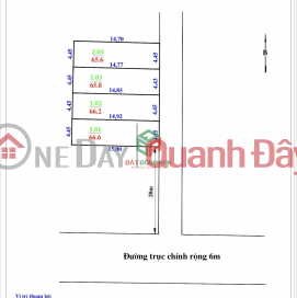 LAND FOR SALE IN KHE NU PLOT, NGUYEN KHE, DONG ANH - INVESTMENT PRICE 4XTR\/M2 _0